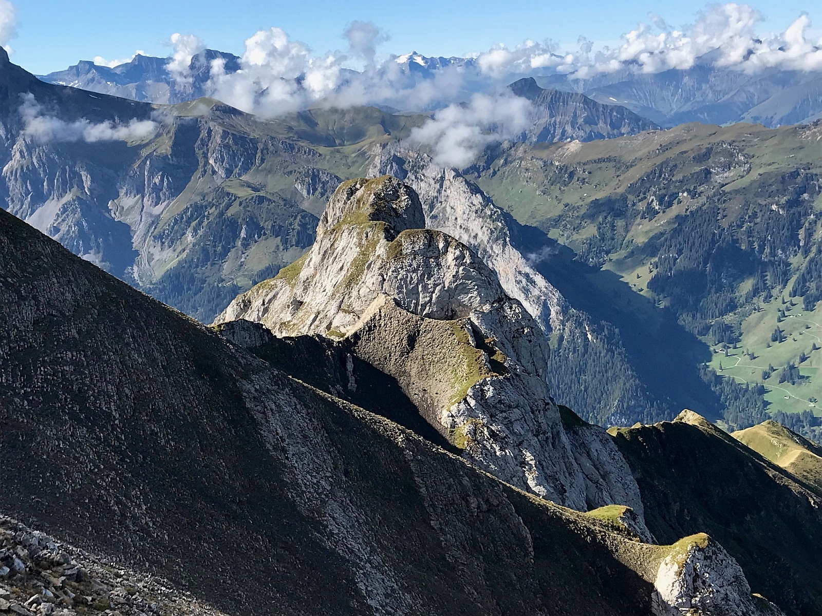 Fernblick gegen SW mit Wildhorn in der Mitte.jpg